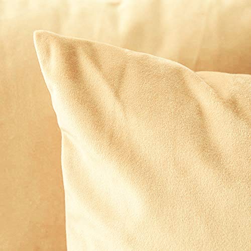 Khooti Fabric Velvet Cushion Cover, | 26x26 Inch, Wheat - Pack of 2 | Solid Plain Soft & Smooth, Decorative Cushion Covers for Living Room, Bedroom, Couches, Chairs, Sofas, Beds & Home Decor - Image 2