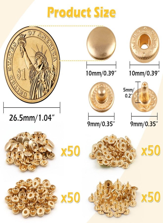 PECMER 50 Sets Snap Fasteners Kit 10mm Metal Snap Buttons Kit Leather Fasteners for Craft Sewing Clothes Leather Bracelets Belt Jackets Bags -200 Pcs Pale Gold - Image 2