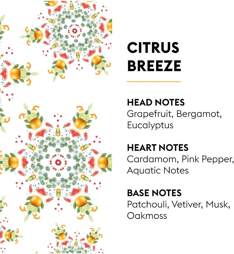 Maison Berger Citrus Breeze Car Diffuser Refill - Set of 2 - Image 3