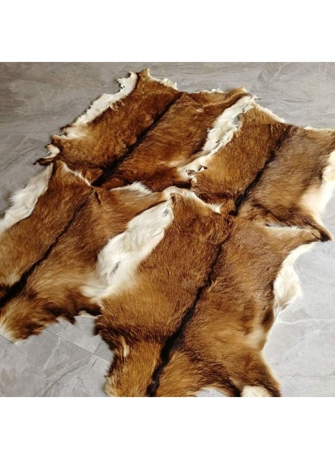 Generic - Red Deer Hide Rug Deer Skin Rug Deer Taxidermy Fireplace Deerskin Decor Reindeer Hide Area Rug Animals Mat Carpet For Home Office Bedroom Taxidermy Hunting Collectable 3.2X2.1Ft - Image 1