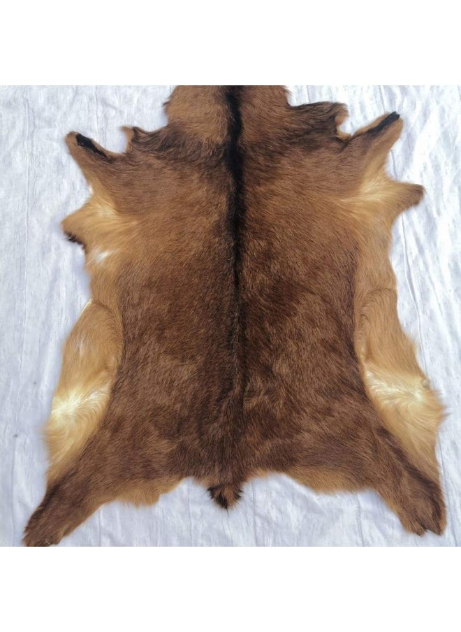Generic - Red Deer Hide Rug Deer Skin Rug Deer Taxidermy Fireplace Deerskin Decor Reindeer Hide Area Rug Animals Mat Carpet For Home Office Bedroom Taxidermy Hunting Collectable 3.2X2.1Ft - Image 1