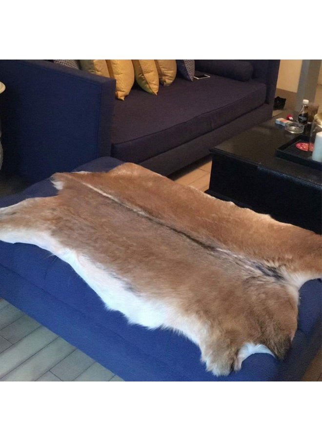 Generic - Red Deer Hide Rug Deer Skin Rug Deer Taxidermy Fireplace Deerskin Decor Reindeer Hide Area Rug Animals Mat Carpet For Home Office Bedroom Taxidermy Hunting Collectable 3.2X2.1Ft - Image 1