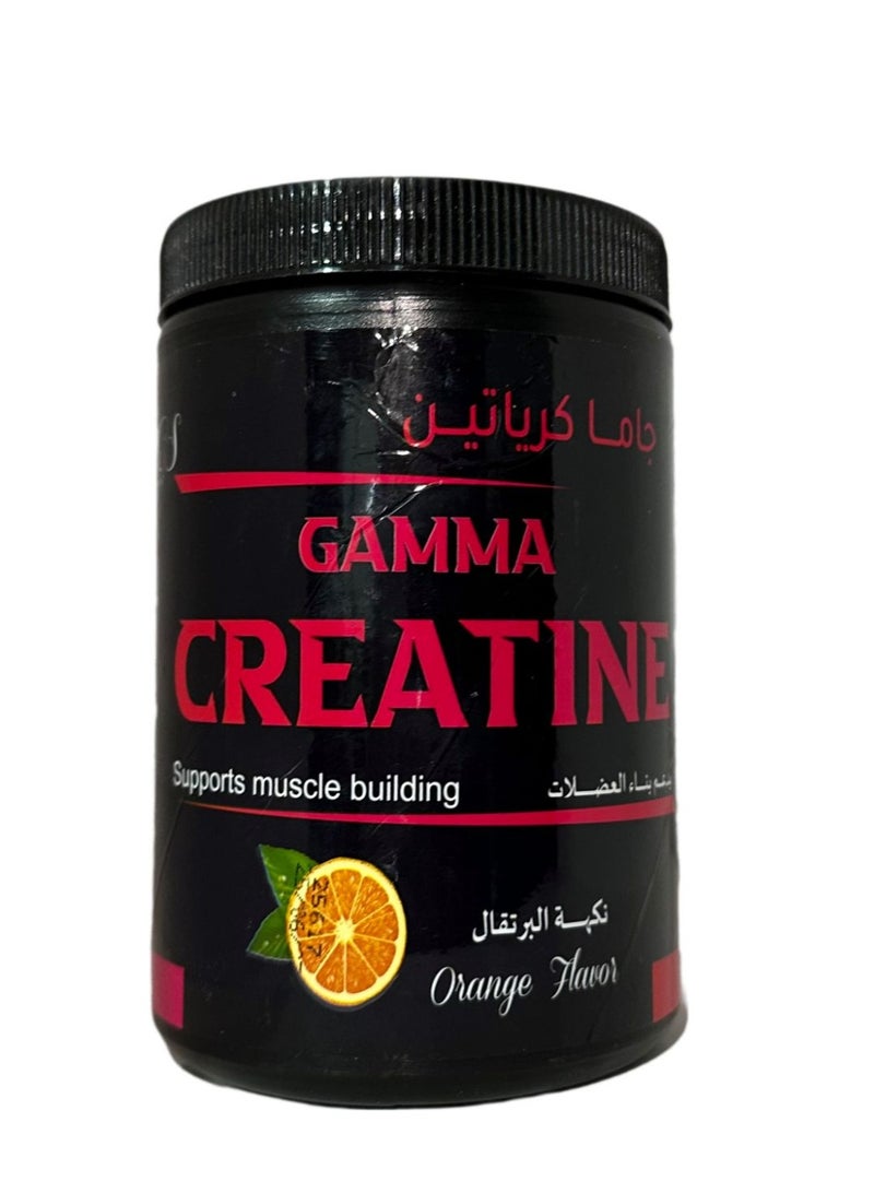 Gamma Creatine monohydrate 300 gm 60 serve - Image 1