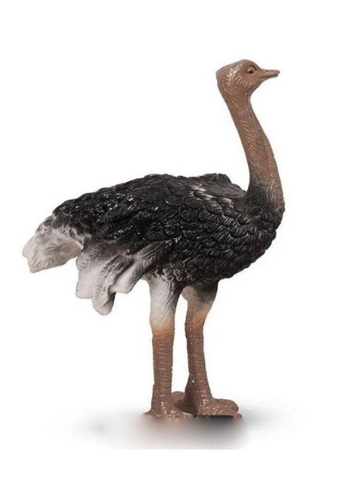 Generic - 4 pieces of bird figurines - where your child learns to distinguish between birds and gains an understanding of the importance of each bird - Image 1