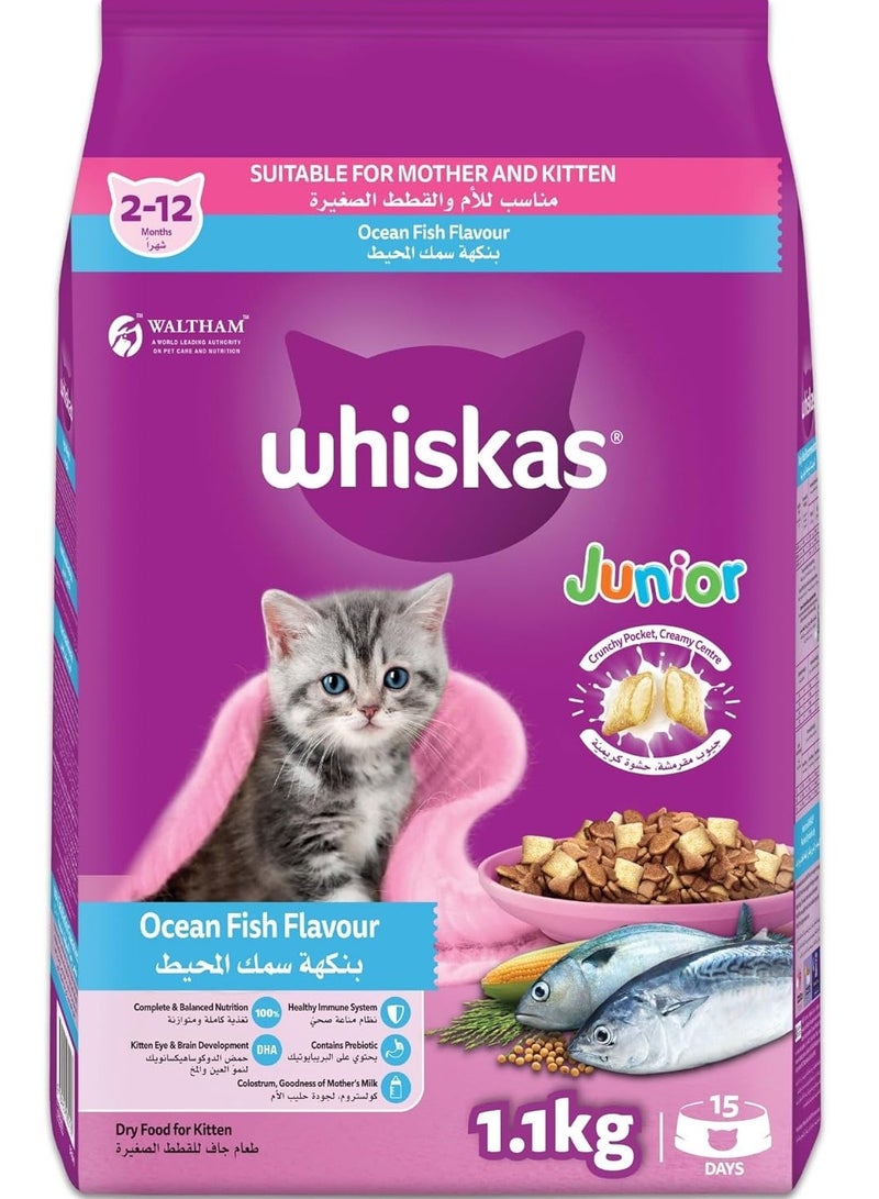ويسكاس طعام القطط الجافة Whiskas Kitten بنكهة سمك المحيط مع الحليب، كيس 1.1 كجم، للأمهات والقطط الصغيرة، مع البريبايوتكس واللبأ