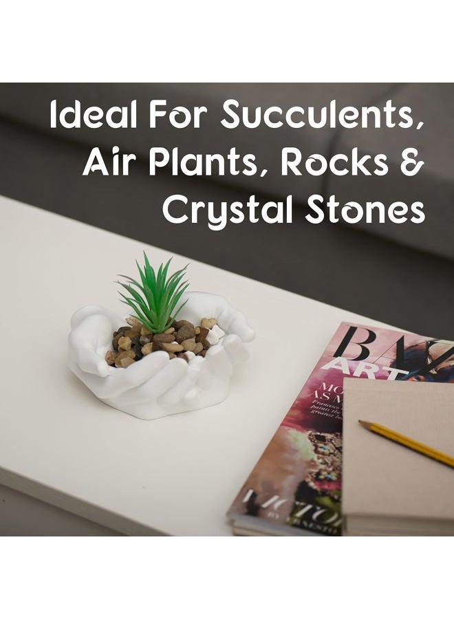 Tapeera Hand Shaped Succulent Planter Pot - Crystal Holder Display - Air Plant Holder Hand Planter - Giving Hands Sculpture Decor - Key Bowl Ring Dish Trinket Dish Candy Dish - Candle Holder (White) - Image 2