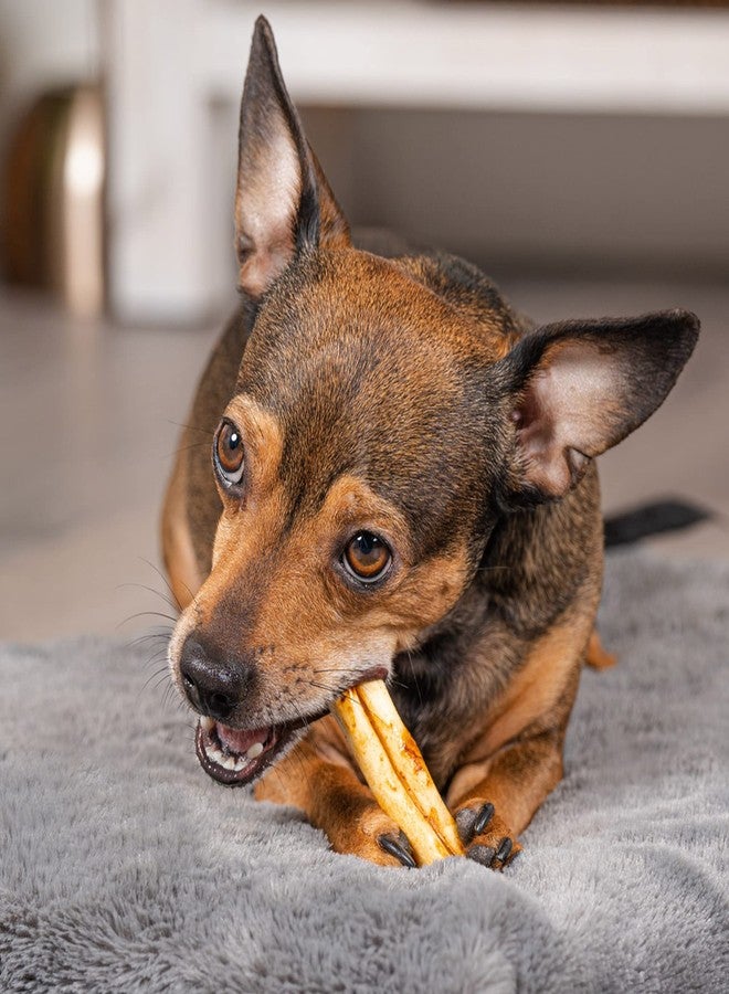 Pet Factory American Beefhide 3" Mini Rolls Dog Chew Treats - Chicken Flavor, 40 Count/1 Pack - Image 5