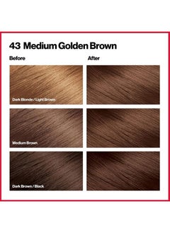Revlon Permanent Hair Color by Revlon, Permanent Hair Dye, Colorsilk with 100% Gray Coverage, Ammonia-Free, Keratin and Amino Acids, 43 Medium Golden Brown, 4.4 Oz (Pack of 3)  - Image 2