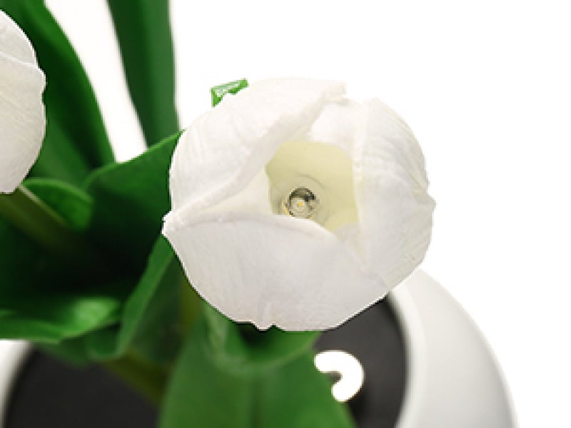 Neoglint Tulip Lamp Indoor Decorative Table Lamp Flower Pot Lamp Ambient Night Light Gift Potted Plant - Image 3