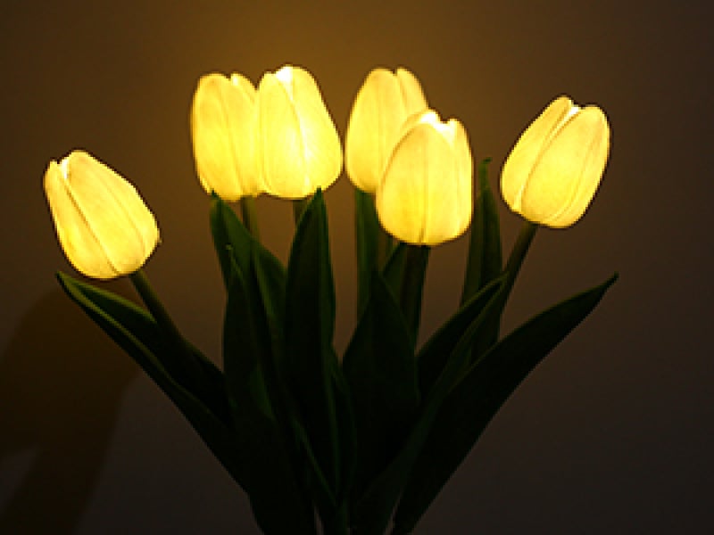 Neoglint Tulip Lamp Indoor Decorative Table Lamp Flower Pot Lamp Ambient Night Light Gift Potted Plant - Image 4