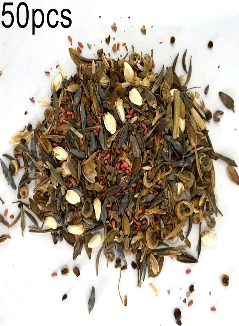 جي جوت بذور للزراعة، 50 قطعة من بذور الزهور البرية بألوان متنوعة، نباتات بونساي للزينة في حديقة المنزل - بذور زهور برية متنوعة - Image 2