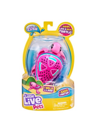26204 Turtle Styles May Vary - pzsku/Z626D2377900A97CCF4A3Z/45/_/1692164319/bba6aa20-a567-48fd-b250-9e8e0d3be85b