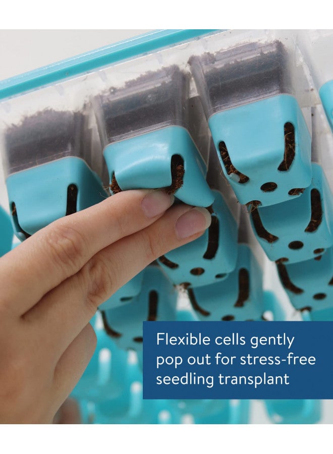 Burpee SuperSeed Seed Starting Tray | 36 Cell Reusable Seed Starter Tray | for Starting Vegetable, Flower & Herb Seeds | Indoor Grow Kit for Plant Seedlings | for Germination Success - Image 2