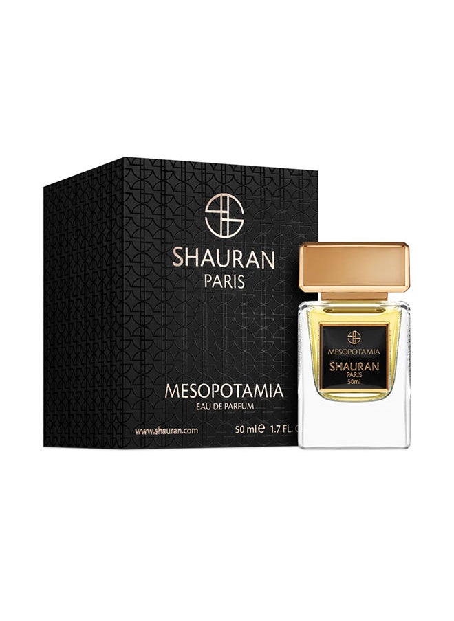 Mesopotamia EDP 50Ml - pzsku/Z626DBA535347C8380957Z/45/_/1694065456/90bede7f-cf7e-45a4-822f-0b4c969f64b5