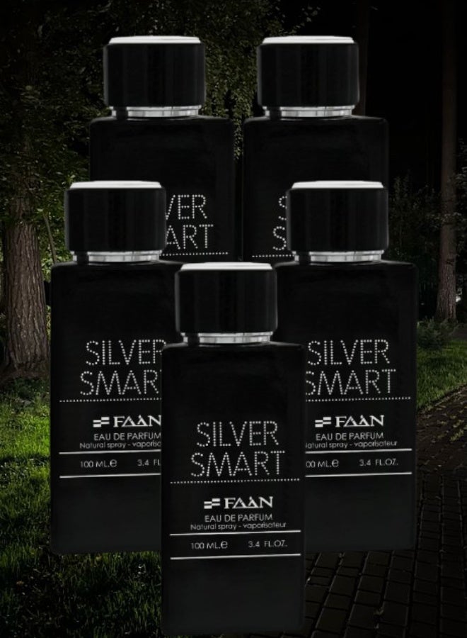 Faan 5 Pieces Silver Smart Perfume 100ML - Image 1