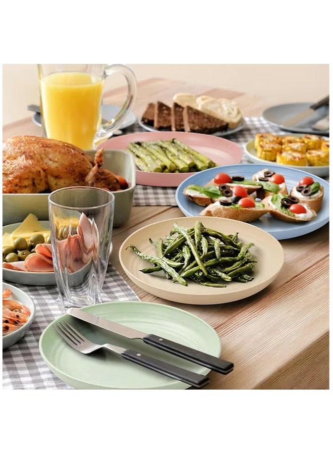 ماهمير مجموعة من 4 أطباق عشاء بلاستيكية غير قابلة للكسر، أطباق من قش القمح قابلة لإعادة الاستخدام، مقاس 10 بوصات، أطباق عشاء خفيفة الوزن غير قابلة للكسر، آمنة للاستخدام في غسالة الأطباق والميكروويف. - Image 5