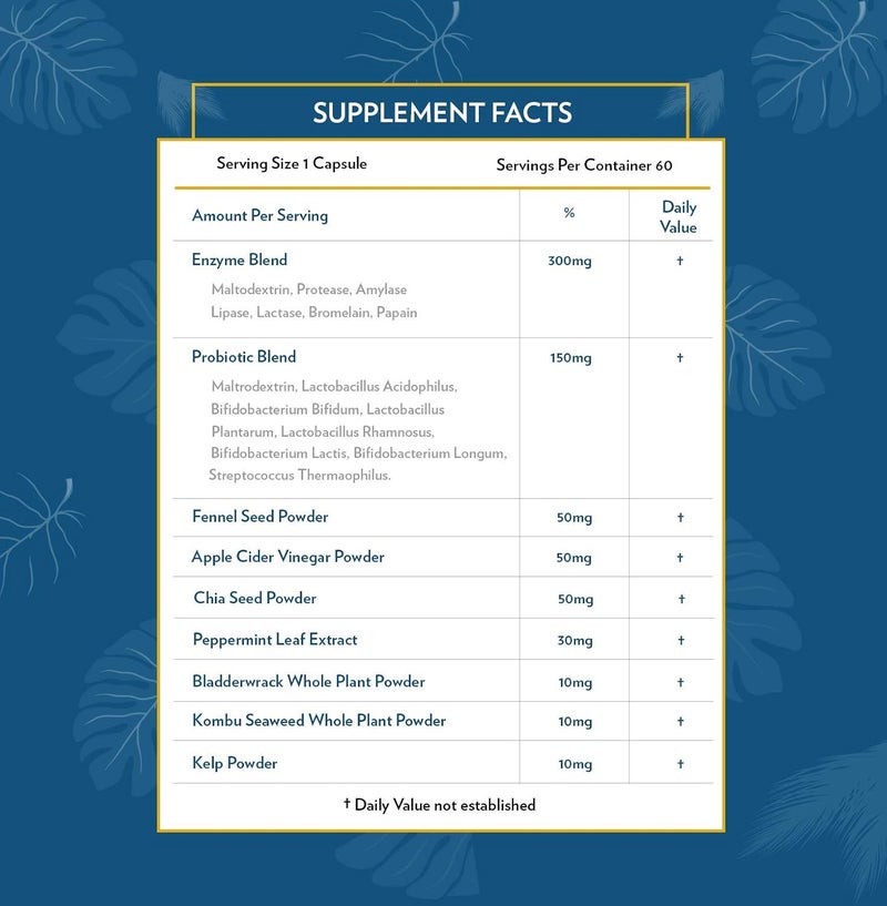 TERRA ORIGIN Digestive Enzymes with Probiotics  Prebiotics  60 Capsules  Supports Digestive Gut Health  Non GMO Gluten Free Vegan  for Women and Men - Image 5