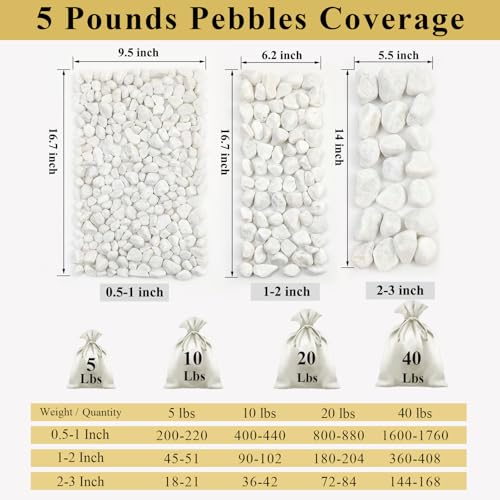 FANTIAN 5 lbs White Matte Rocks for Plants, 2-3 Inch Large Pebbles for Indoor Plants, Decorative River Stones for Succulent, Landscaping, Vases, Crafting and Garden - Image 3