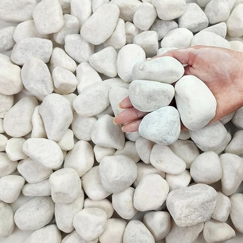 FANTIAN 5 lbs White Matte Rocks for Plants, 2-3 Inch Large Pebbles for Indoor Plants, Decorative River Stones for Succulent, Landscaping, Vases, Crafting and Garden - Image 1