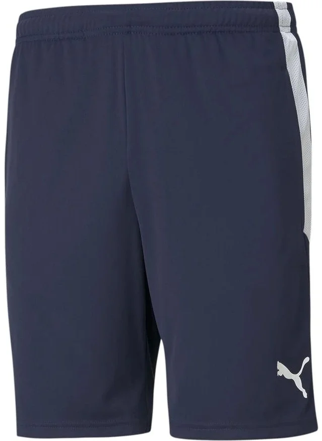 بوما TEAMLIGA25 Camping Shorts 657249-06