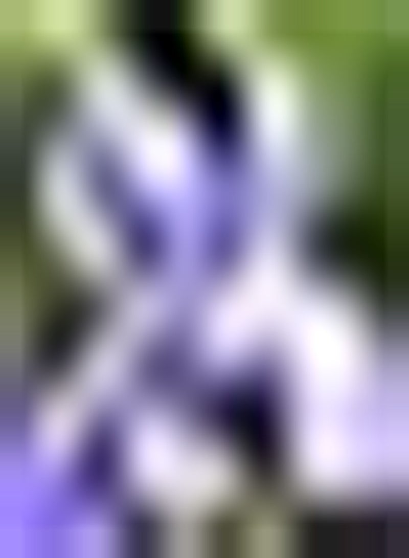 GGOOT 5pcs blauwe irisbollen mooie bloemen verlichten je tuin mooi landschap toevoegen aan de tuin kan snijbloemboeketten maken doe het zelf tuinambachten - Image 1