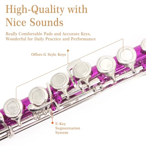 YANASON Pink C Flute Closed Hole 16 Keys Flute Nickel-Plated for Beginner, Student and Professionals with Carrying case, Metal stand, Gloves, Tuning Rod, Cleaning kit(Pink) - Image 3