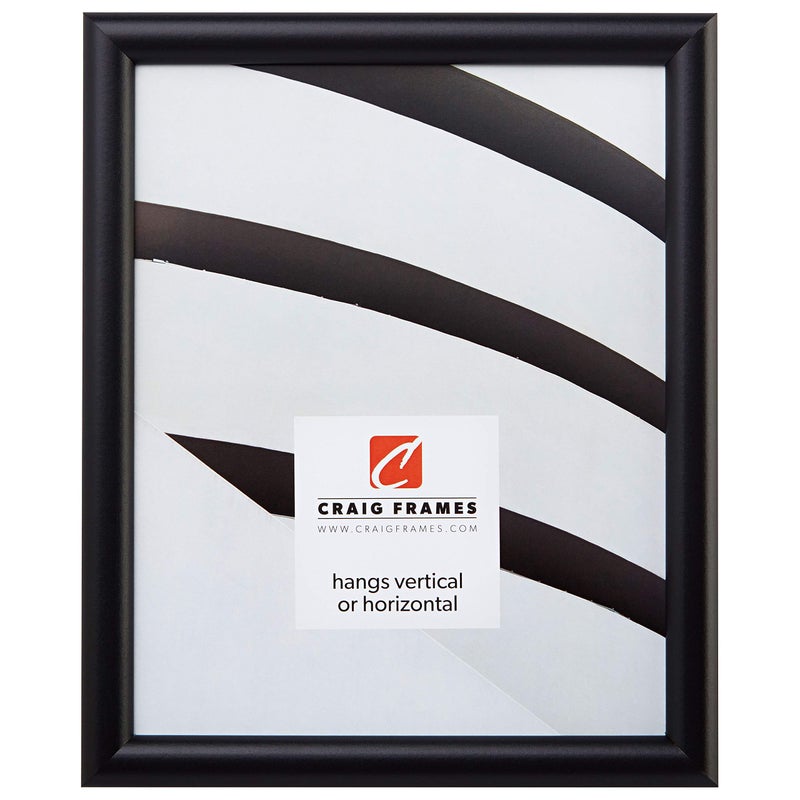 Craig Frames FW2BK 10 x 13Inch Picture Frame Smooth Finish 0765Inch Wide Black