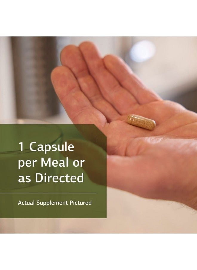 Standard Process - Livaplex Whole Food Bowel Digestion And Digestive Health Liver Health And Gallbladder Support With Spanish Black Radish Betaine Hydrochloride And Organic Carrot 90 Capsules - Image 1