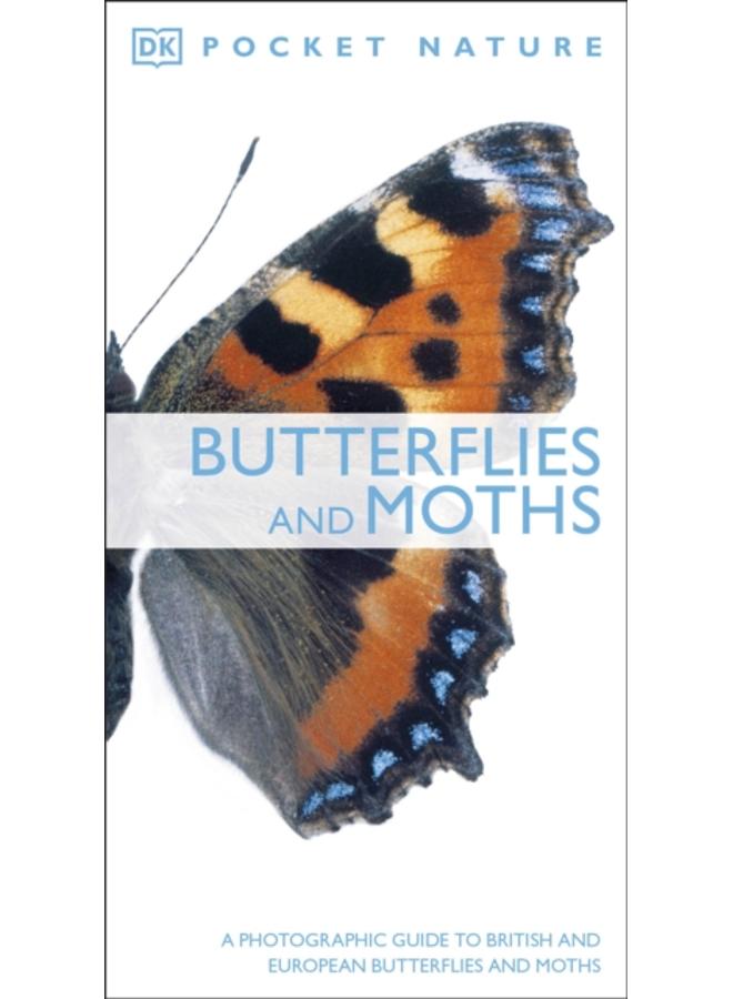 Butterflies and Moths : A Photographic Guide to British and European Butterflies and Moths