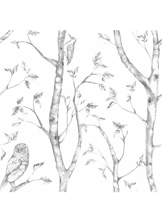 NuWallpaper Nu1412 Woods Peel & Stick Wallpaper Grey  - Image 1
