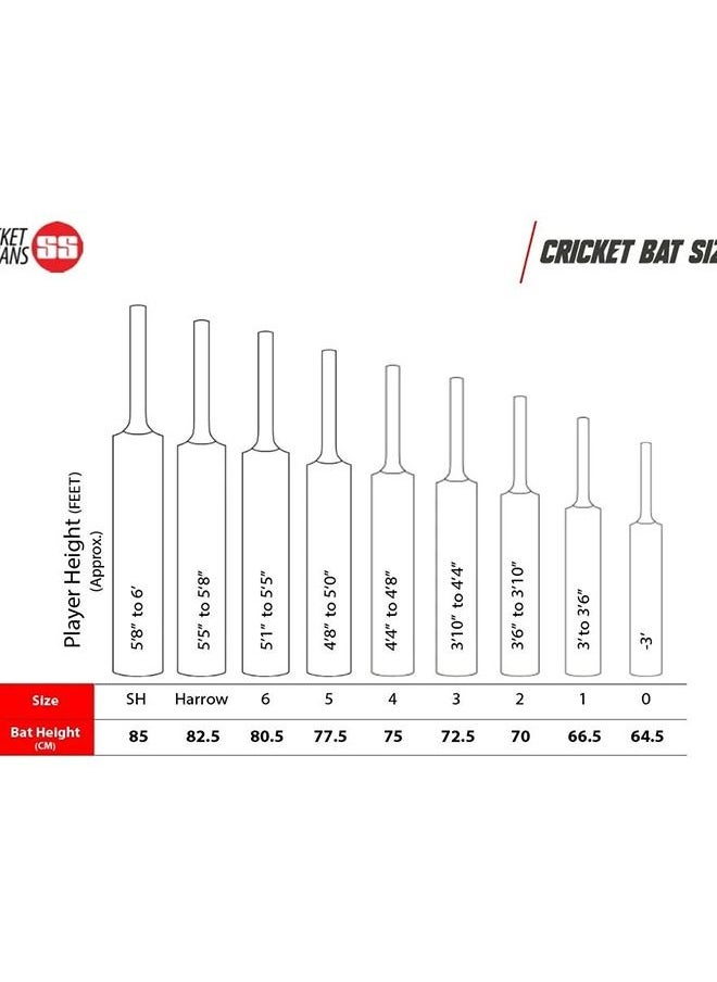 SS - Cricket Bats Ton 999 English Willow Sh - Image 1