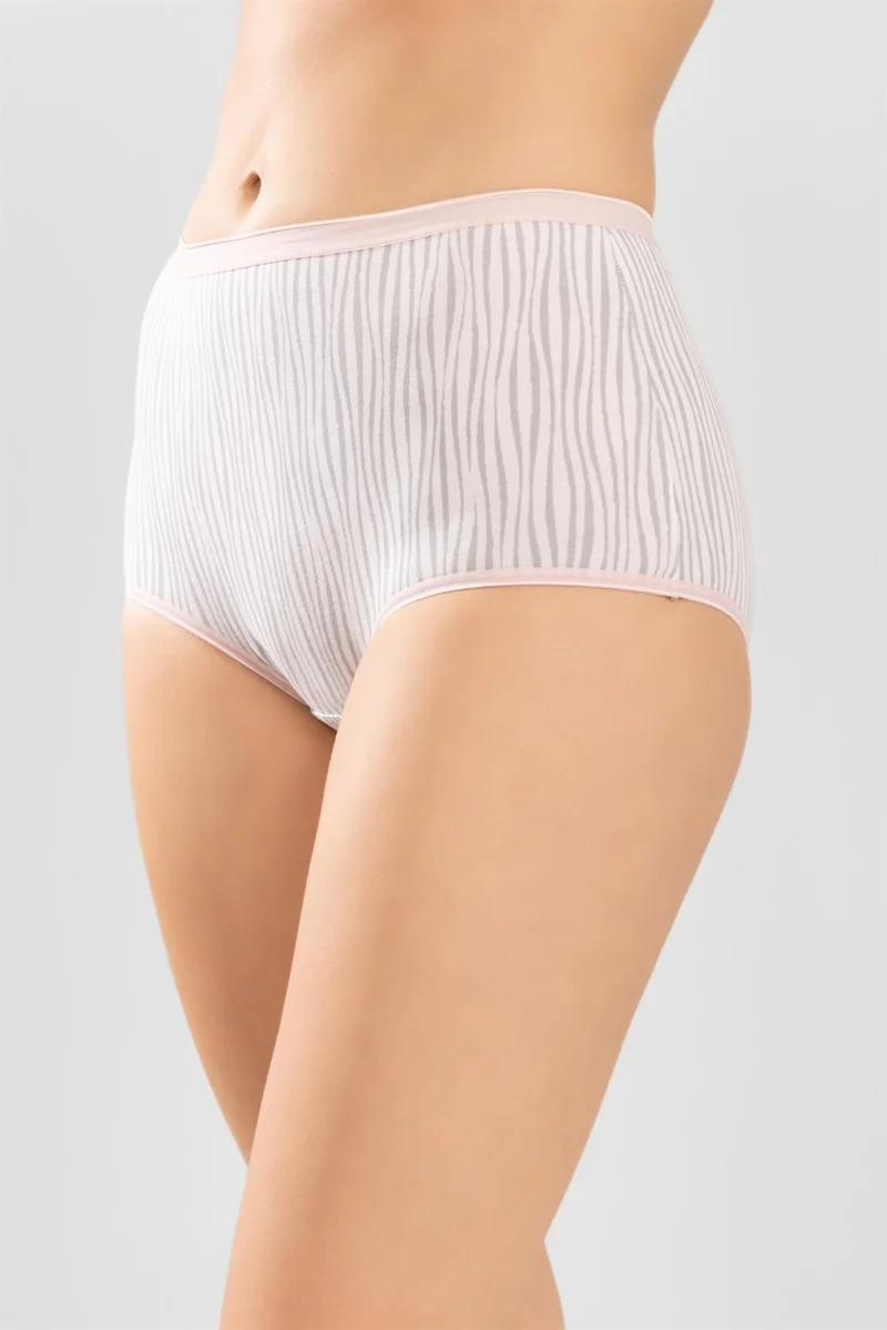 Baykar Women's High Waist Cotton Patterned Bato Women's Panties 3-Pack 8213 Colorful