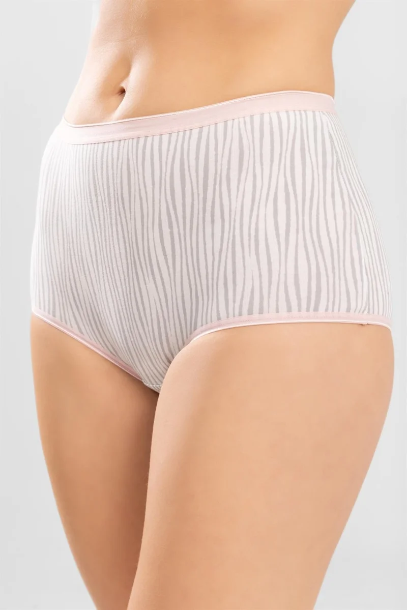 Baykar Women's High Waist Cotton Patterned Bato Women's Panties 3-Pack 8213 Colorful