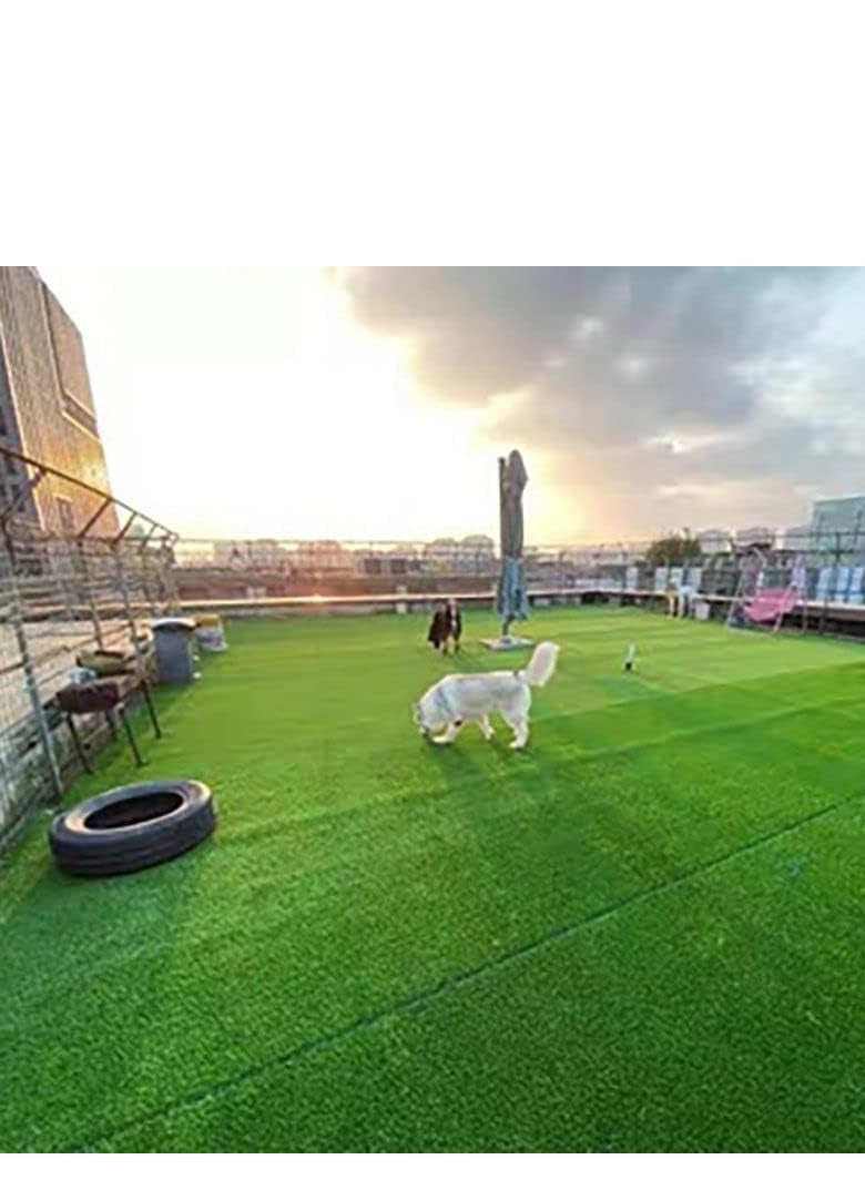 FFD Artificial Grass Carpet Fake Grass Mat For Home Outdoor Front/Backyards Garden Decoration
