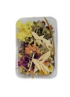 Definite Definite Art Dried Flowers Packet of Mix Dried Flowers for Resin Candle Art Craft Work Pack of 1 Box 