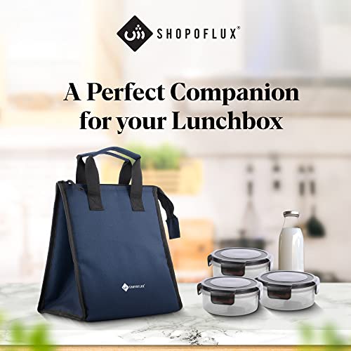 SHOPOFLUX Lunch Bag for Men and Women, Insulated Tiffin Bags for Office, College, School (Blue) - Image 5