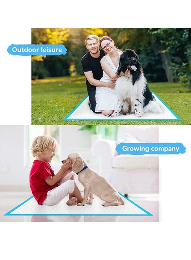 Pet Training Pads ,Pet Pee Pads, Puppy Potty Training Pet Mats,Disposable Absorbent Quick Drying Leak-Proof Pee Pads For Potty Training For Pets - Image 3
