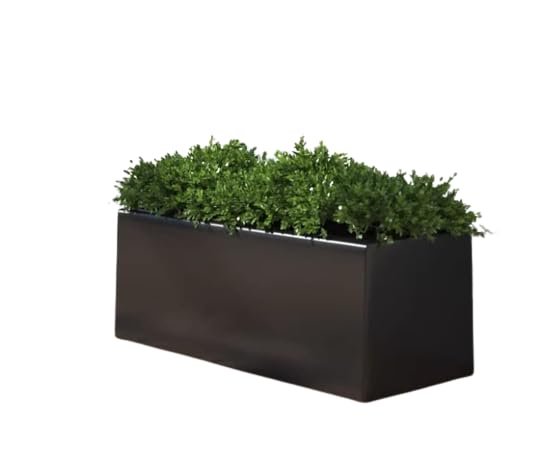 Lavish Craft Plant Store Modern Rectangle Planter Box - 20" Metal Planter Ideal for Long Succulents | Rectangular Table or Window Sill Planters for Indoor Use (Black) - Image 1