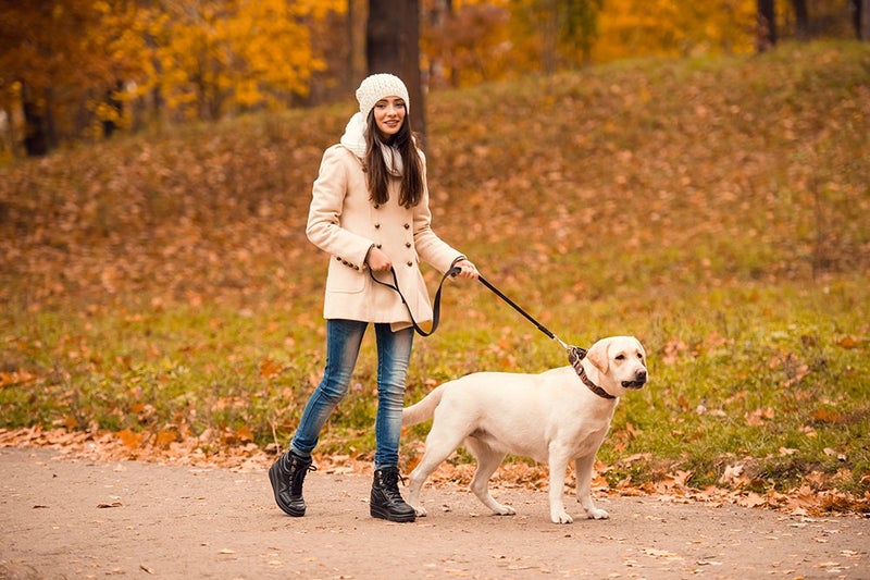 HotHands سخانات أصابع القدم من هوت هاندز - تدوم طويلاً، بدون رائحة، تعمل بالهواء - تصل إلى 8 ساعات من الحرارة - 20 زوج - Image 5