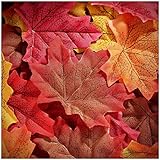 Whaline 300 Pieces Artificial Autumn Maple Leaves Mixed Fall Colored Leaf for Weddings, Events, Art Scrapbooking and - Image 1