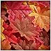 Whaline 300 Pieces Artificial Autumn Maple Leaves Mixed Fall Colored Leaf for Weddings, Events, Art Scrapbooking and - Image 2