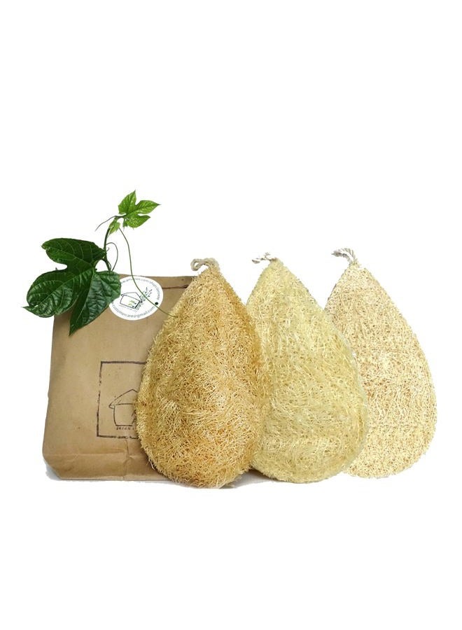 Miw Piw Natural Loofah Dish Sponge Pack 3 Vegetable Scrubber for Kitchen -100% Biodegradable Compostable Dishwashing Scouring Pad Zero Waste Plastic Free Eco Friendly Sustainable - Image 1