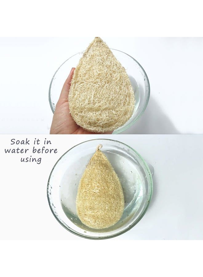 Miw Piw Natural Loofah Dish Sponge Pack 3 Vegetable Scrubber for Kitchen -100% Biodegradable Compostable Dishwashing Scouring Pad Zero Waste Plastic Free Eco Friendly Sustainable - Image 5