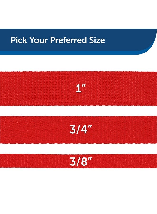 بيت سيف مقود الكلاب من النايلون من PetSafe - مقود قوي ومتين بتصميم تقليدي مع مشبك سهل الاستخدام للكلاب الصغيرة والمتوسطة والكبيرة - 3/8 بوصة × 6 أقدام، أحمر - Image 5