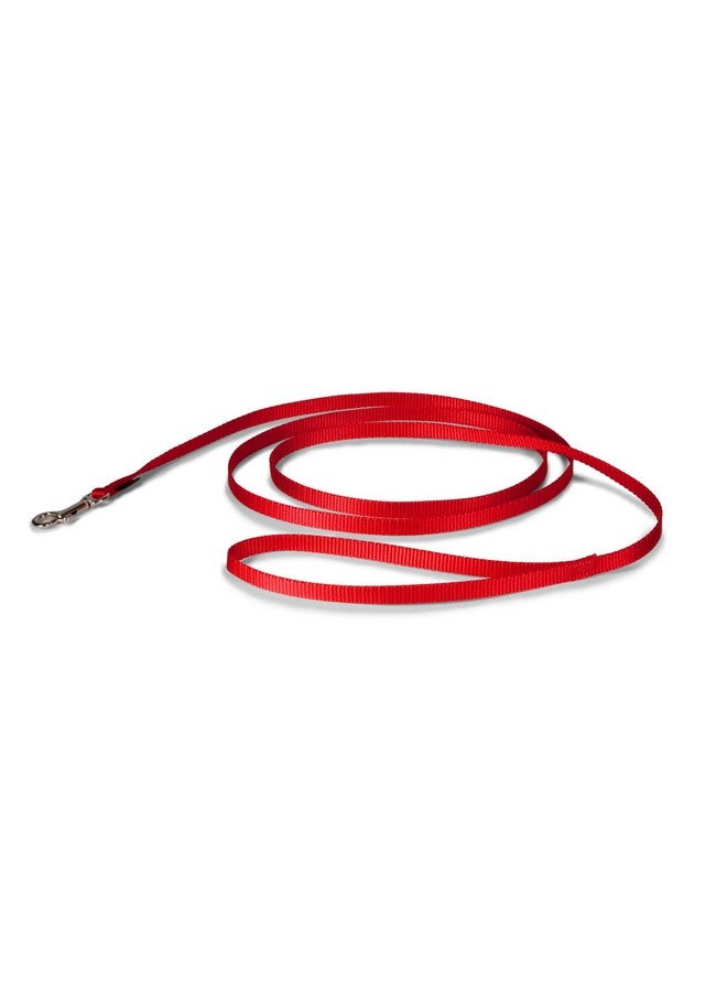 بيت سيف مقود الكلاب من النايلون من PetSafe - مقود قوي ومتين بتصميم تقليدي مع مشبك سهل الاستخدام للكلاب الصغيرة والمتوسطة والكبيرة - 3/8 بوصة × 6 أقدام، أحمر - Image 1