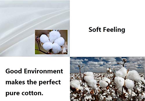Eastwarmth Goose Feathers Down Pillow for Sleeping,Hotel Collection Queen Size Soft Bed Pillow,100% Cotton Cover Queen Size (20X30IN) 1 Pack - Image 3
