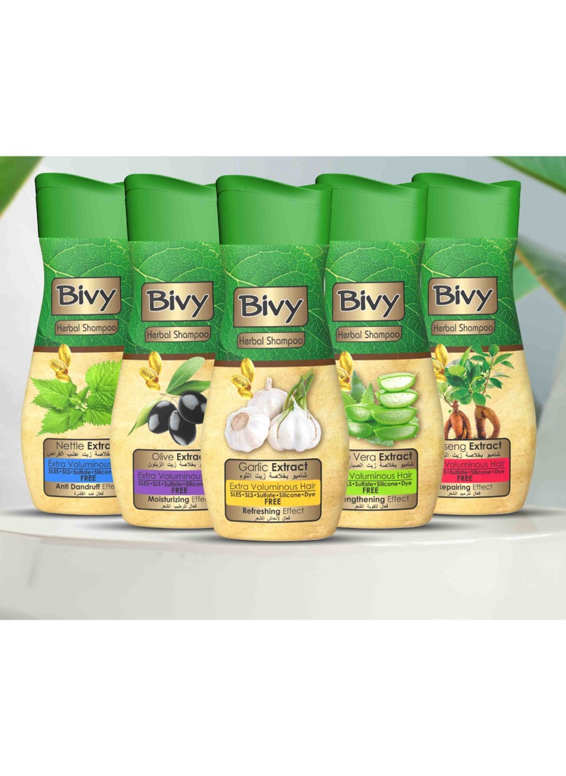 Bevi Multi-Extract Shampoo, 6 Piece Set - pzsku/Z627FFD68634F2C519944Z/45/_/1737558021/1ecd1cdc-2e3e-4e12-9863-1b9c536efa8d