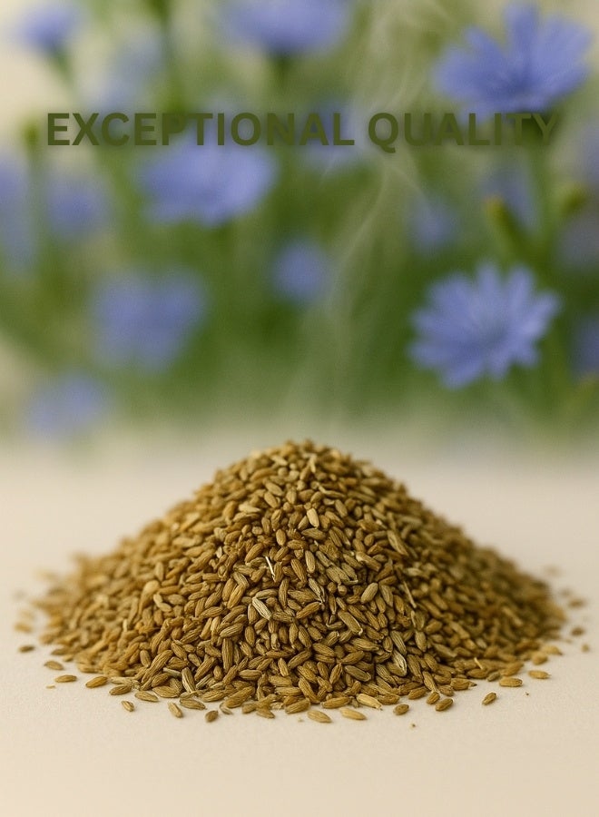 Zahr Chicory Seed – 100% Natural, Premium Quality, Hand-Sorted & Sustainably Grown – Herbal Tea, Coffee Alternative, Smoothies & Daily Nutrition - Image 3