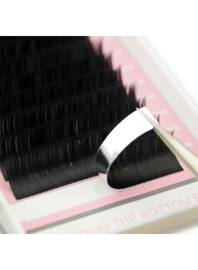 Qeelasee Matte Mink Flat Eyelash Extension 0.25 D Curl 10Mm Ellipse Eyelashes False Mink Individual Eyelash Extension Professional Salon Used By Qeelasee - Image 3