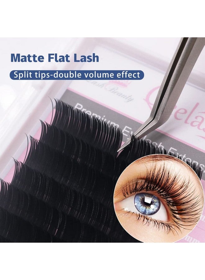 Qeelasee Matte Mink Flat Eyelash Extension 0.25 D Curl 10Mm Ellipse Eyelashes False Mink Individual Eyelash Extension Professional Salon Used By Qeelasee - Image 5